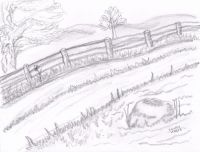 Country road